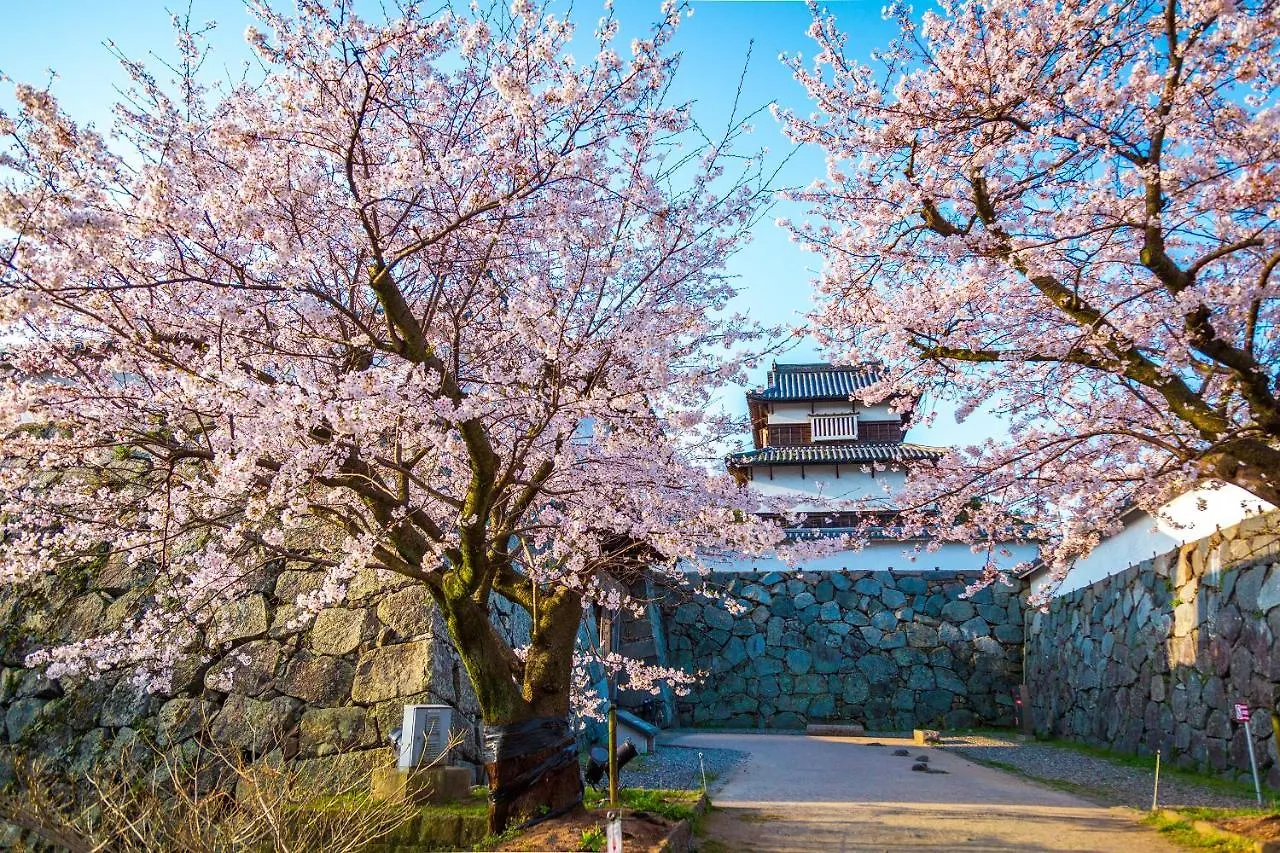 Hotel Trad Hakata Fukuoka  4*, Fukuoka (Fukuoka)